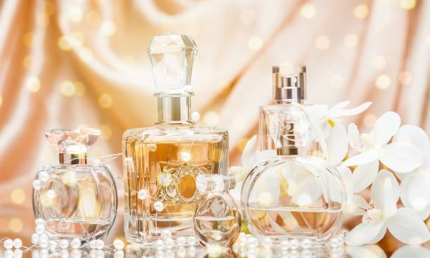 Most Popular Perfumes For Women