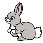 Draw a Rabbit – One small step at a time Informative activity