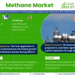 Methane Market