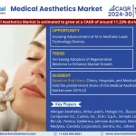 Medical Aesthetics Market