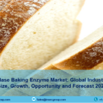 Alpha-Amylase Baking Enzyme Market