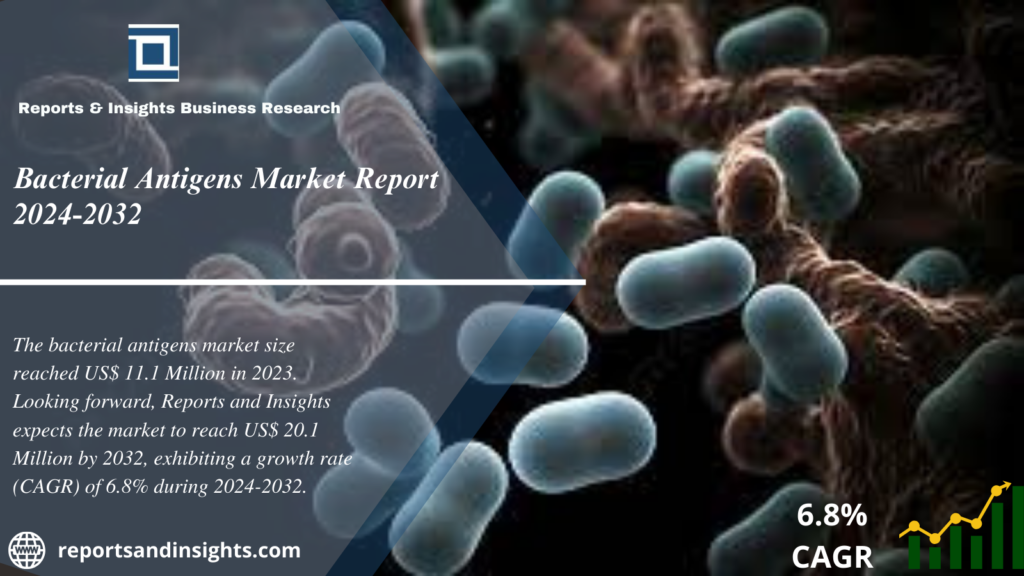 Bacterial Antigens Market 2024 to 2032 | Global Size, Share, Growth, Industry, Demand and Key Players