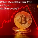 Bitcoin Recovery