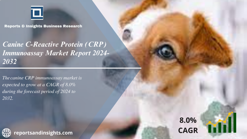 Canine C-Reactive Protein (CRP) Immunoassay Market 2024 to 2032| Trends, Size, Share, Growth, Demand and Forecast 2024