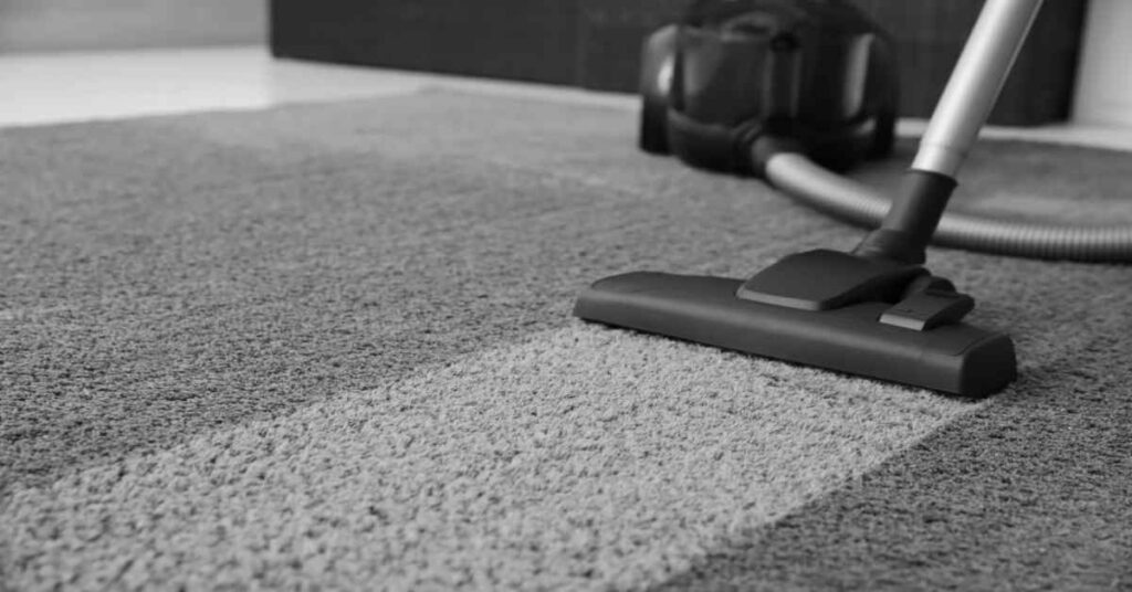 Maximizing Efficiency: The Benefits of Professional Carpet Cleaning