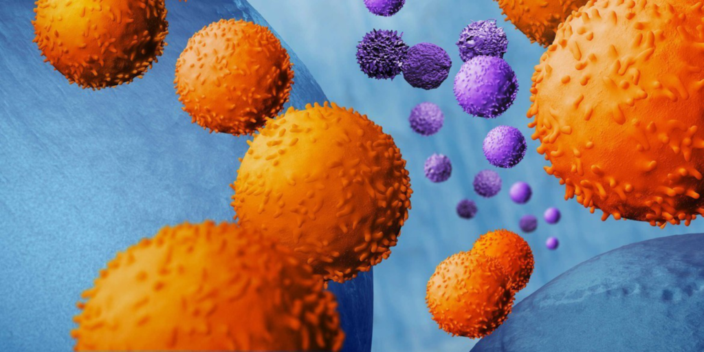 Cell Separation Technologies Market Share, Growth and Forecast Report 2024-2032