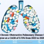 Chronic Obstructive Pulmonary Disease Market Set to Experience Significant Growth by 2028 | Renub Research