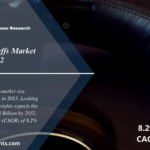 Electronic Earmuffs Market 2024 to 2032: Share, Growth, Size, Trends and Report Analysis