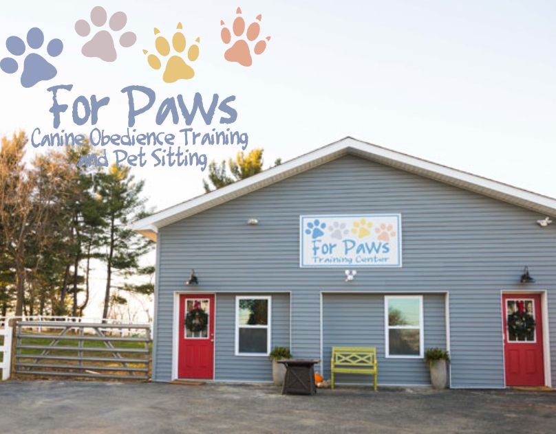 dog training northern Kentucky