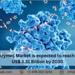 Food Enzymes Market, Size, Share, Growth, Keyplayers ⅼ Forecast (2024 – 2030) ⅼ Renub Research