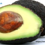 Global Avacado Oil Market, Size, Share, Growth ⅼ Forecast (2024 – 2032) ⅼ Renub Research