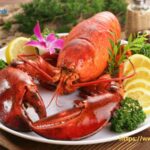 Global Lobster Market Size, Share, Growth ⅼ Forecast (2024 – 2032) ⅼ Renub Research