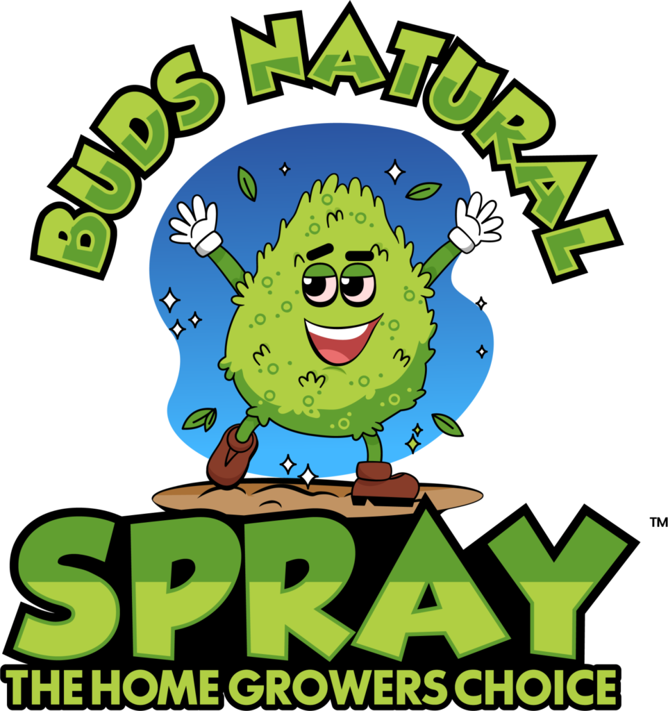 Plant-Insect Spray in New York: Normal Irritation Control Arrangements