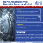 North America Small Modular Reactor Market