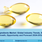 Omega 3 Ingredients Market