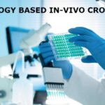 Oncology Based In-Vivo CRO Market Share, Report, Analysis and Forecast 2024-2032