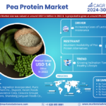 Pea Protein Market