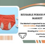 Reusable Period Panties Market