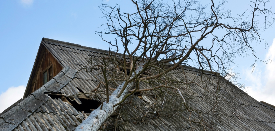 Roof Repair Storm Damage