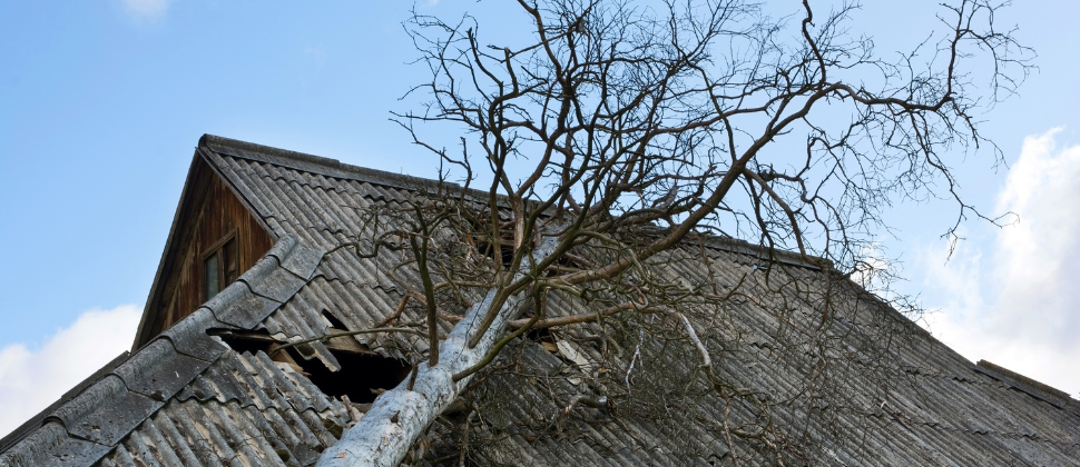 Roof Repair Storm Damage