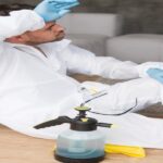 Stain Removal Services Dubai