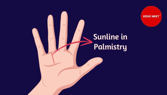 Sunline Palmistry