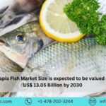 Global Tilapia Fish Market, Size, Share, Industry Trends, Company Analysis ⅼ Forecast (2024 – 2030) ⅼ Renub Research