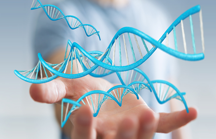 Whole Exome Sequencing Test