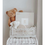 Documenting Milestones Matters With Forget Me Not Journals’ Baby Record Book