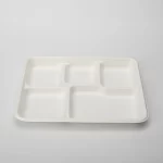 P005 10 Inches Disposable Bagasse Plate