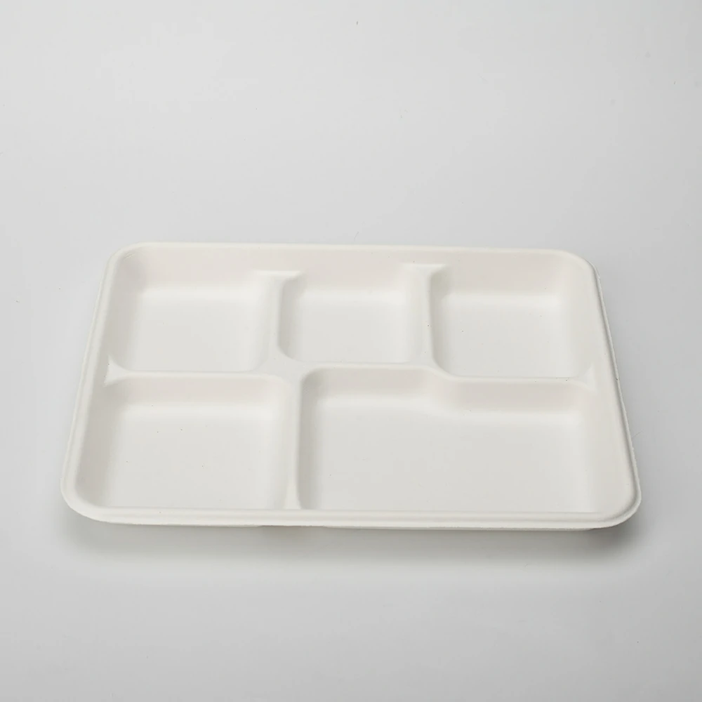 P005 10 Inches Disposable Bagasse Plate