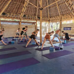 Bali Yoga Retreats