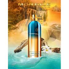 Montale Day Dreams Perfume