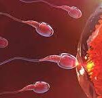 Cómo elegir la clínica de fertilidad adecuada para reproducción asistida