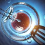 ivf treatment process