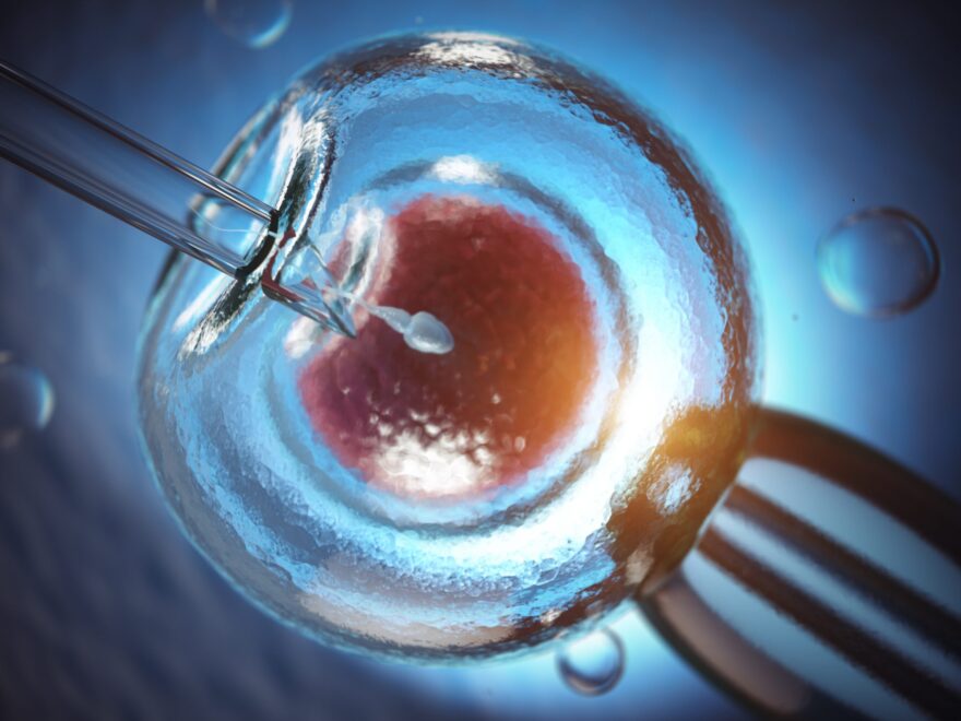 ivf treatment process