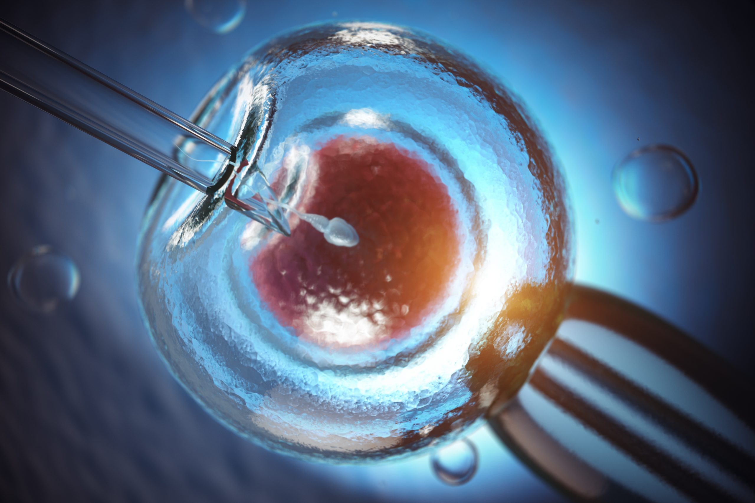 ivf treatment process