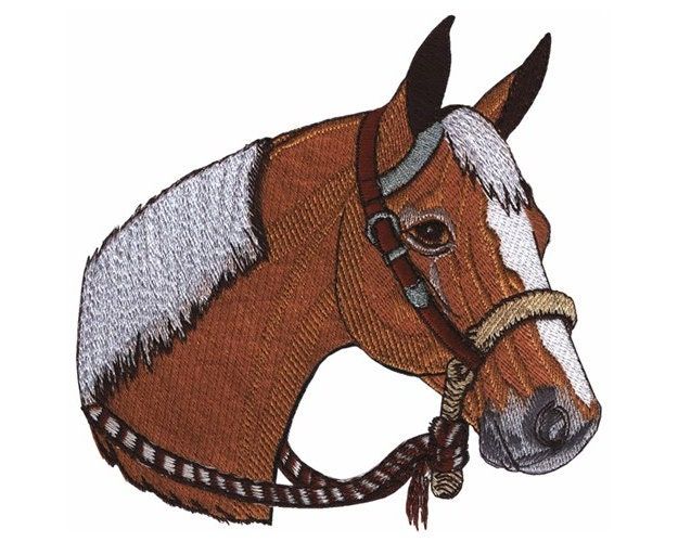 embroidery digitizing services-1 dollar digitizing