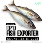 fish exporter