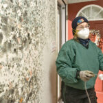 Landlord Blaming Me for Mold: What You Need to Know