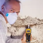 Mould Prevention Sydney: Latest Procedural Innovations