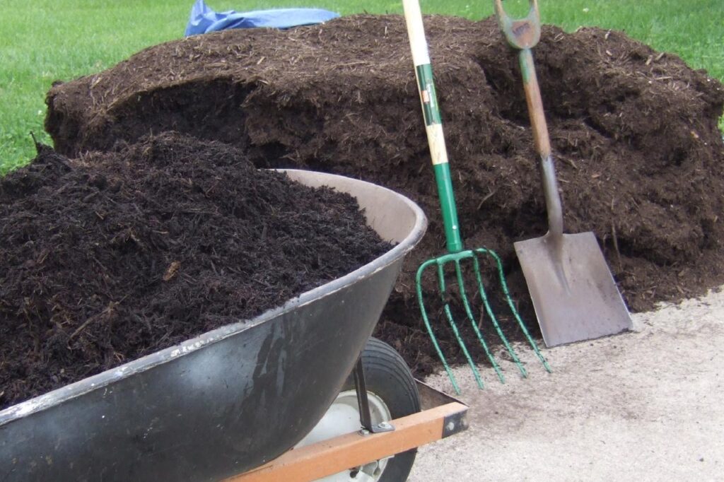 Lawn and Garden Consumables Market Trends, Report, Share, Analysis 2024-2032