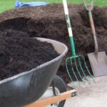 Lawn and Garden Consumables Market Trends, Report, Share, Analysis 2024-2032