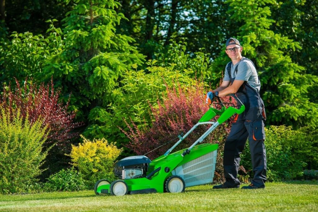 lawn treatment services