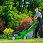 lawn treatment services