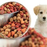 Renub Research forecasts the United States Pets Food Market to reach US$ 62.41 Billion by 2028