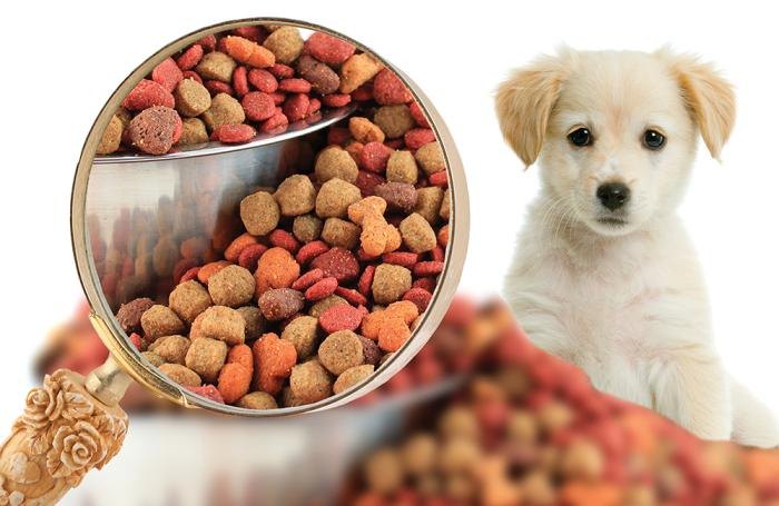 Renub Research forecasts the United States Pets Food Market to reach US$ 62.41 Billion by 2028