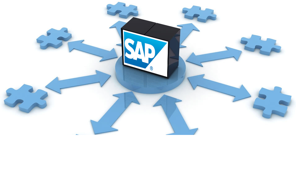 sap solution