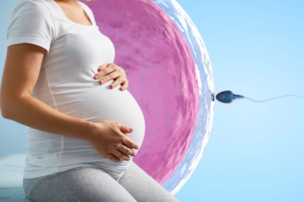 ivf pregnancy tesr