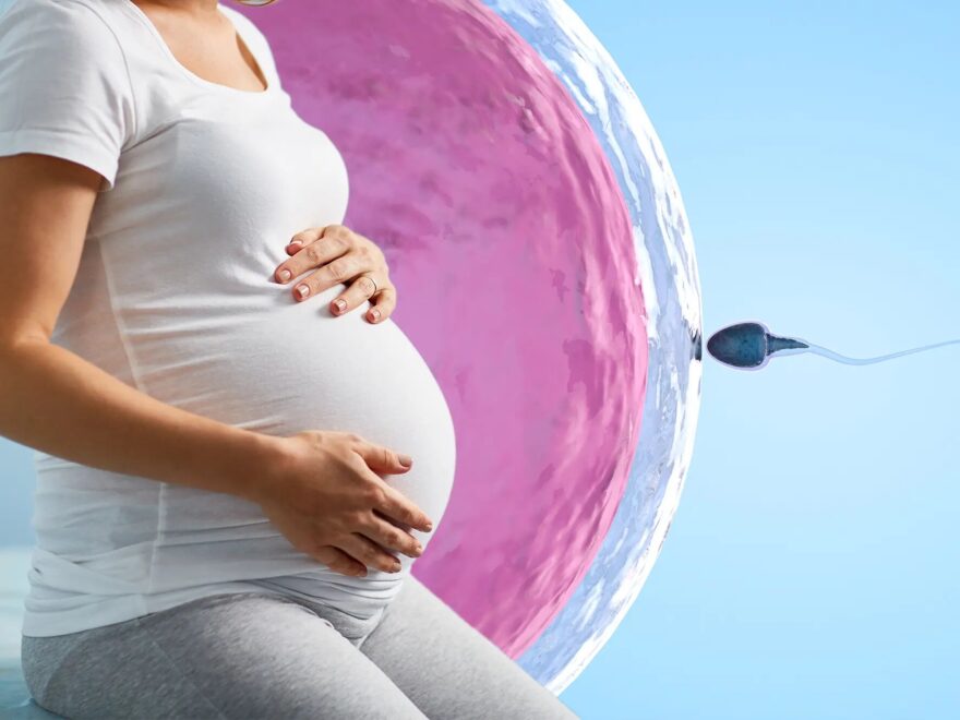 ivf pregnancy tesr